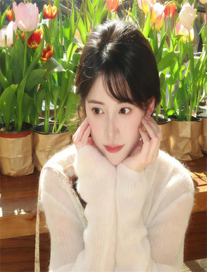 让梦飞翔美学价值分析：艺术美感与审美特征探讨